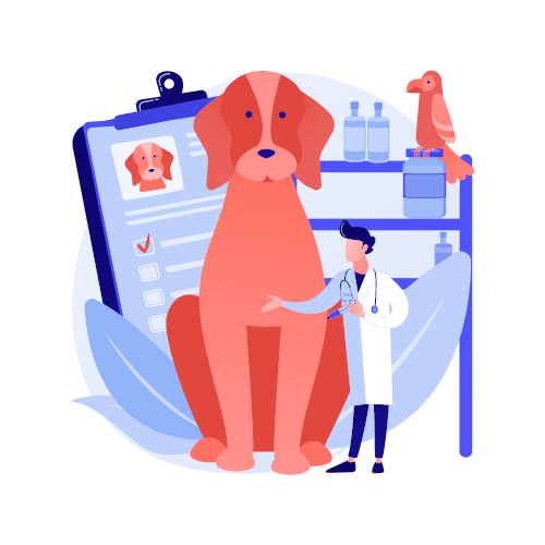 1-r hematologie et immunologie - clinique veterinaire saint louis brignoles