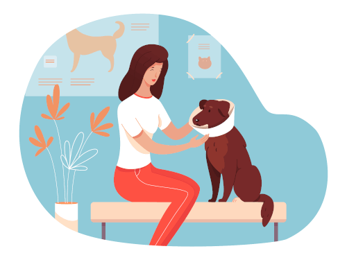 2-r Clinique veterinaire brignoles - soins complet