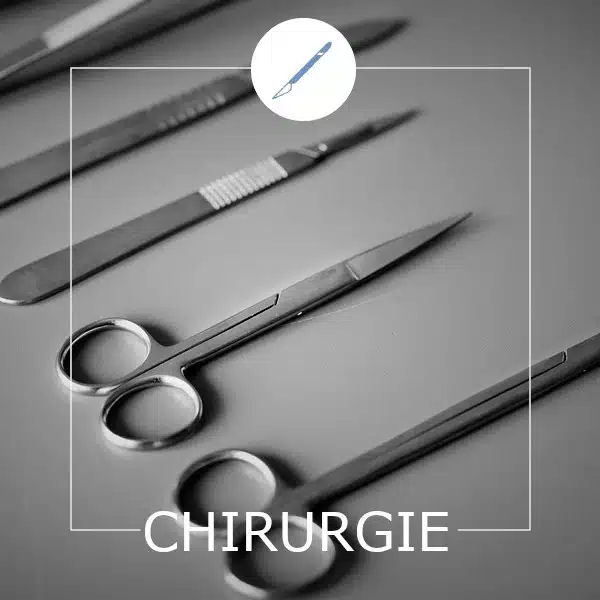 Chirurgie - Clinique vétérinaire Saint Louis - Brignoles