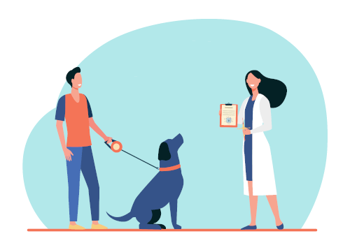 bilan santé Clinique veterinaire brignoles bilan santé Clinique veterinaire brignoles