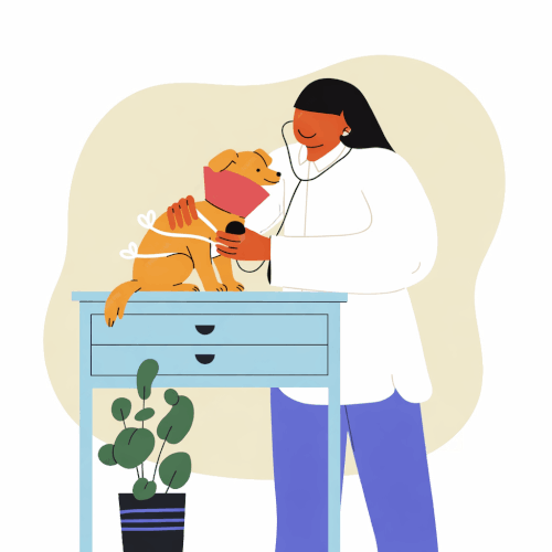 clinique vétérinaire brignoles soins des animaux clinique vétérinaire brignoles soins des animaux