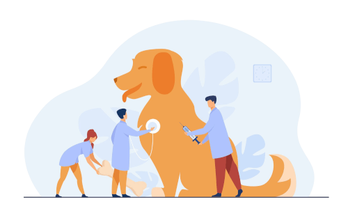 veterinaire Brignole hospitalisation veterinaire Brignole hospitalisation