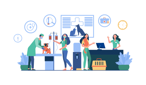 veterinaire-soins-somplet Clinique veterinaire brignoles - soins complet