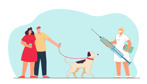 Clinique veterinaire brignoles - rappel de vaccination Clinique veterinaire brignoles - rappel de vaccination