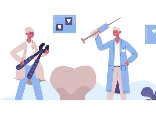 dentisterie - clinique veterinaire saint louis brignoles