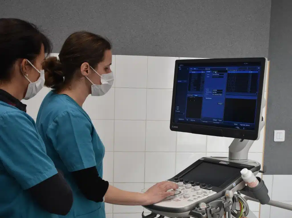 clinique veterinaire st louis brignoles dr konen et dr lerpiniere