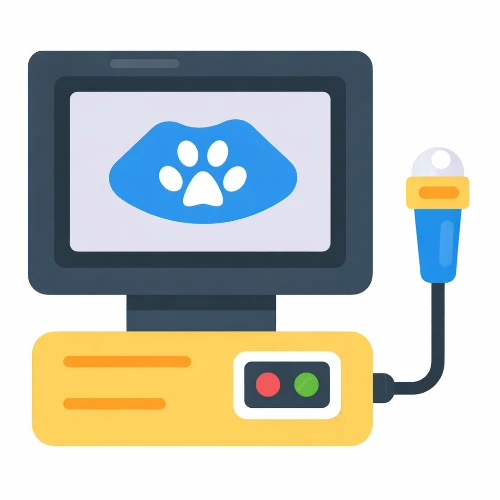 echographie - clinique vetrinaire saint louis brignoles echographie - clinique vetrinaire saint louis brignoles