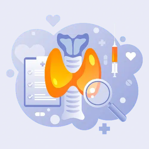 endocrinologie - clinique veterinaire saint louis brignoles endocrinologie - clinique veterinaire saint louis brignoles