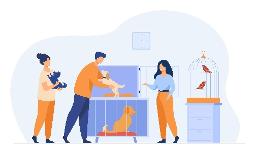 hospitalisation - clinique veterinaire saint louis à brignoles hospitalisation - clinique veterinaire saint louis à brignoles