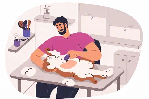 hospitalisation - clinique veterinaire saint louis à brignoles hospitalisation - clinique veterinaire saint louis à brignoles