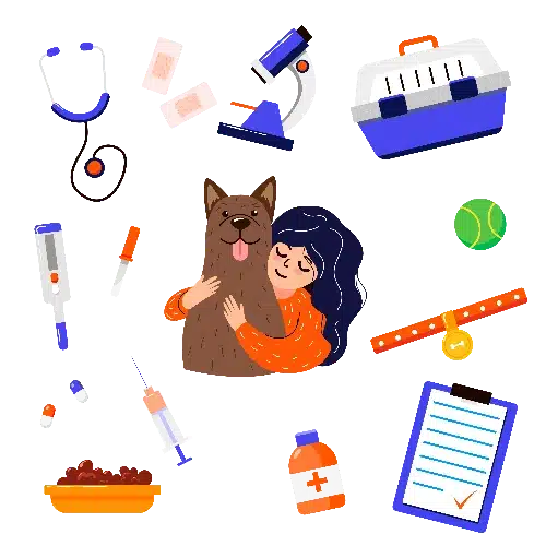 hygiene - clinique veterinaire saint louis brignoles hygiene - clinique veterinaire saint louis brignoles