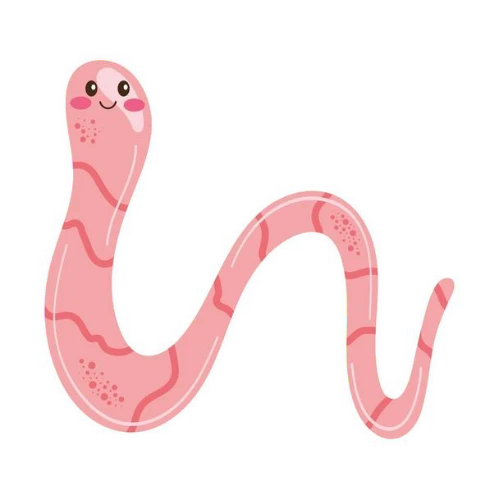 vermifuge - clinique veterinaire saint louis brignoles vermifuge - clinique veterinaire saint louis brignoles