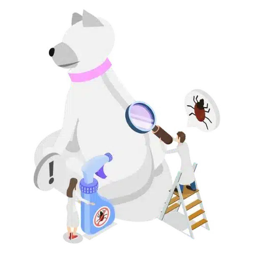 anti-parasitaire - clinique veterinaire saint louis brignoles anti-parasitaire - clinique veterinaire saint louis brignoles