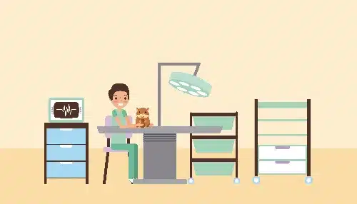 laboratoire - clinique veterinaire saint louis brignoles