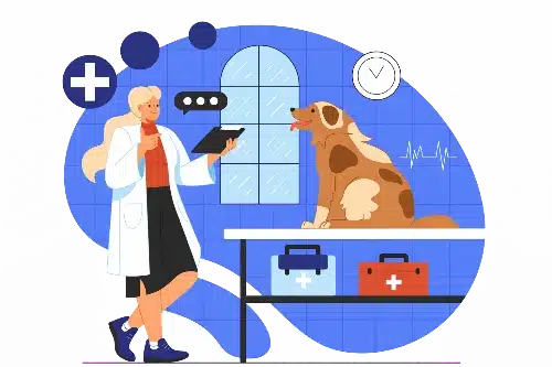 bilan senior - clinique veterinaire saint louis à brignoles bilan senior - clinique veterinaire saint louis à brignoles