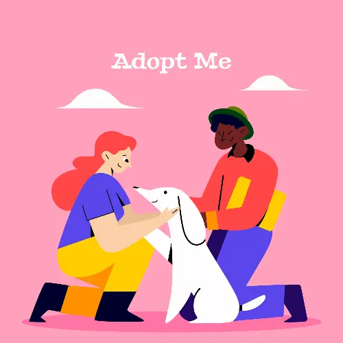 adoption - clinique vétérinaire saint louis brignoles