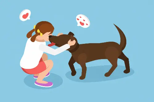 adoption - clinique vétérinaire saint louis brignoles